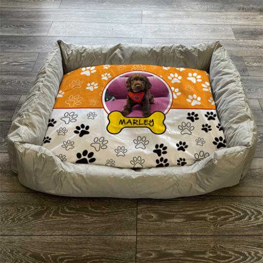 Personalised Dog Bed Paws & Bones Orange