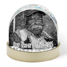 Snow Globe - Memorial 1