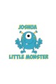 Baby Bib - Little Monster