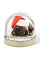 Snow Globe - Pets Christmas Photo 
