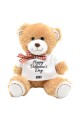 Teddy Bear Happy Valentines Day